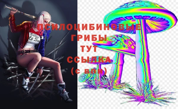 СК Абдулино