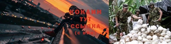 спиды Ростов