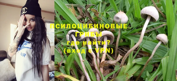 каннабис Абаза