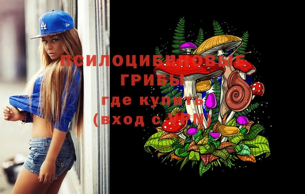 стаф Алексин