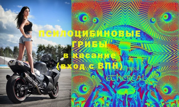 каннабис Абаза
