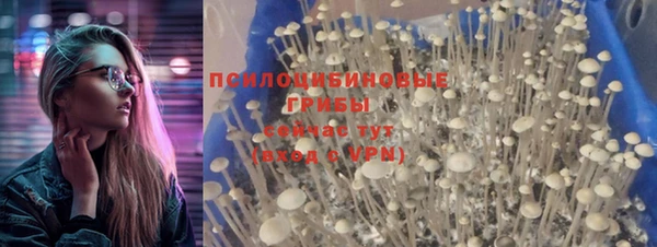 прущая мука Абинск